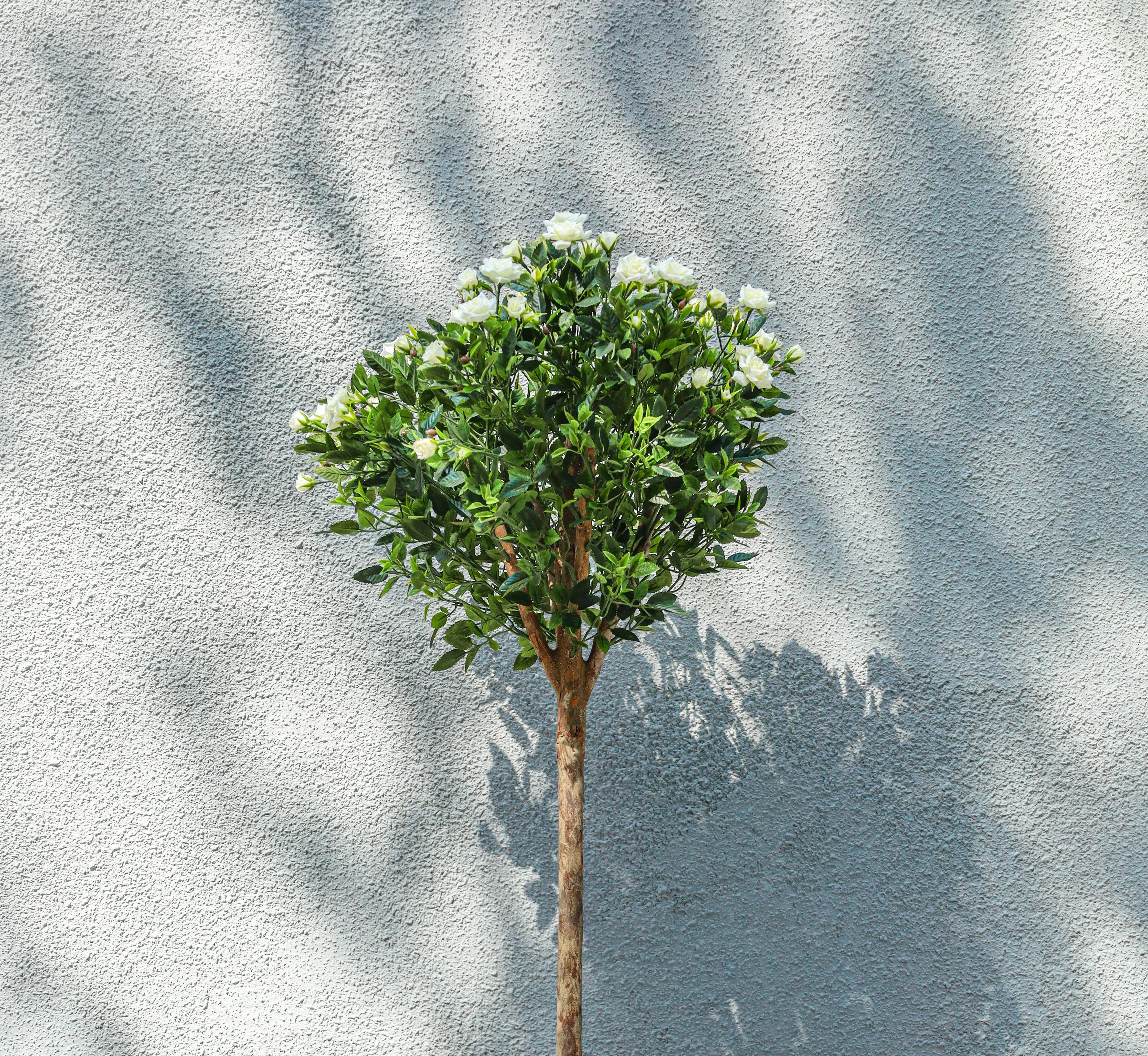 ozdobne